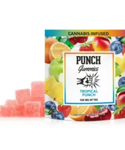 Tropical Punch Gummies 100mg