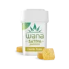 EXOTIC YUZU (HIGH-DOSE MED) // SATIVA Wana Gummies