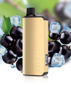 ALIBARBAR INGOT 9000 PUFF – BLACKBERRY ICE