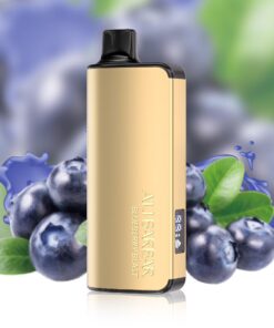 ALIBARBAR INGOT 9000 PUFF – BLUEBERRY BLAST