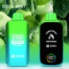 BIMO Turbo 20000 Puffs – Cool Mint