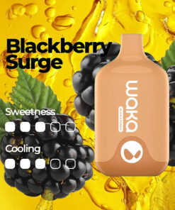 WAKA SMASH 6000 PUFF – BLACKBERRY SURGE