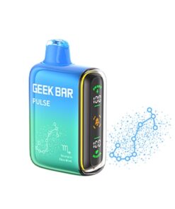 GEEK BAR VAPE 9000 PUFF – BLUE MINT