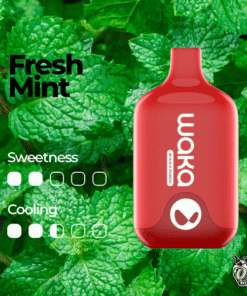 WAKA SMASH 6000 PUFF – FRESH MINT
