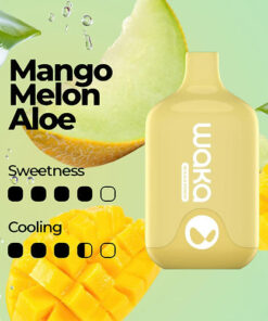 WAKA SMASH 6000 PUFF – MANGO MELON ALOE