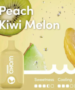 WAKA SMASH 6000 PUFF – PEACH KIWI MELON