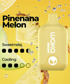 WAKA SMASH 6000 PUFF – PINENANA MELON