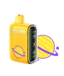 GEEK BAR VAPE 9000 PUFF – STRAWBERRY BANANA