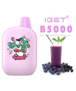 iGET B5000 VAPE 5000 PUFF – BLUEBERRY RAZZ