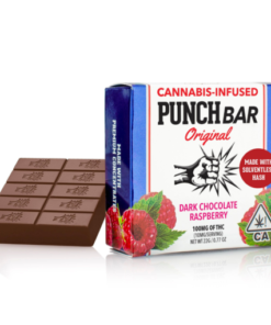 Punch Bar Dark Chocolate Raspberry