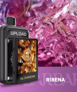 ALIBARBAR UPLOAD 25000 PUFFS – Blackcurrant